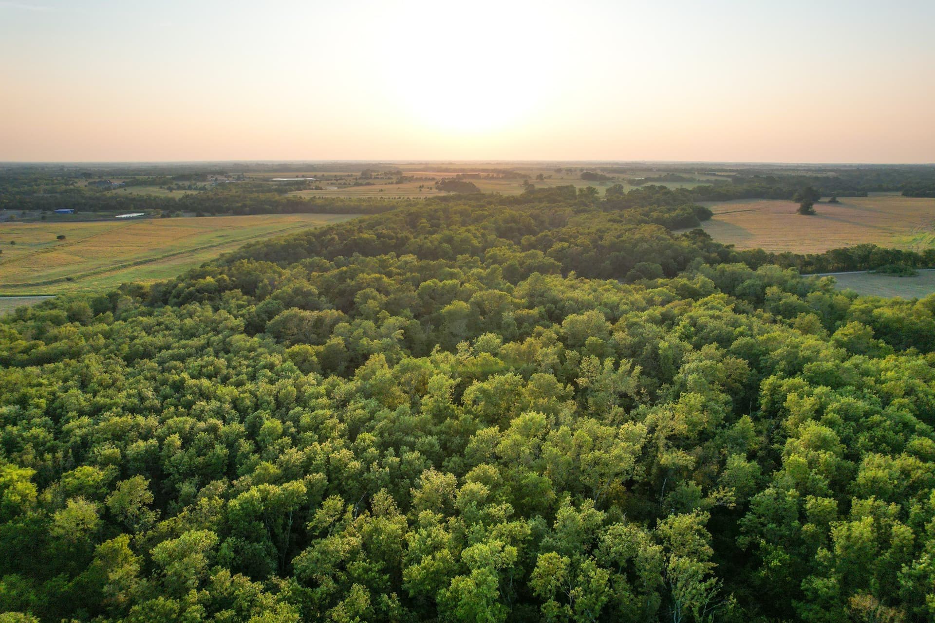 40.43 acres in Fannin County - photo 10