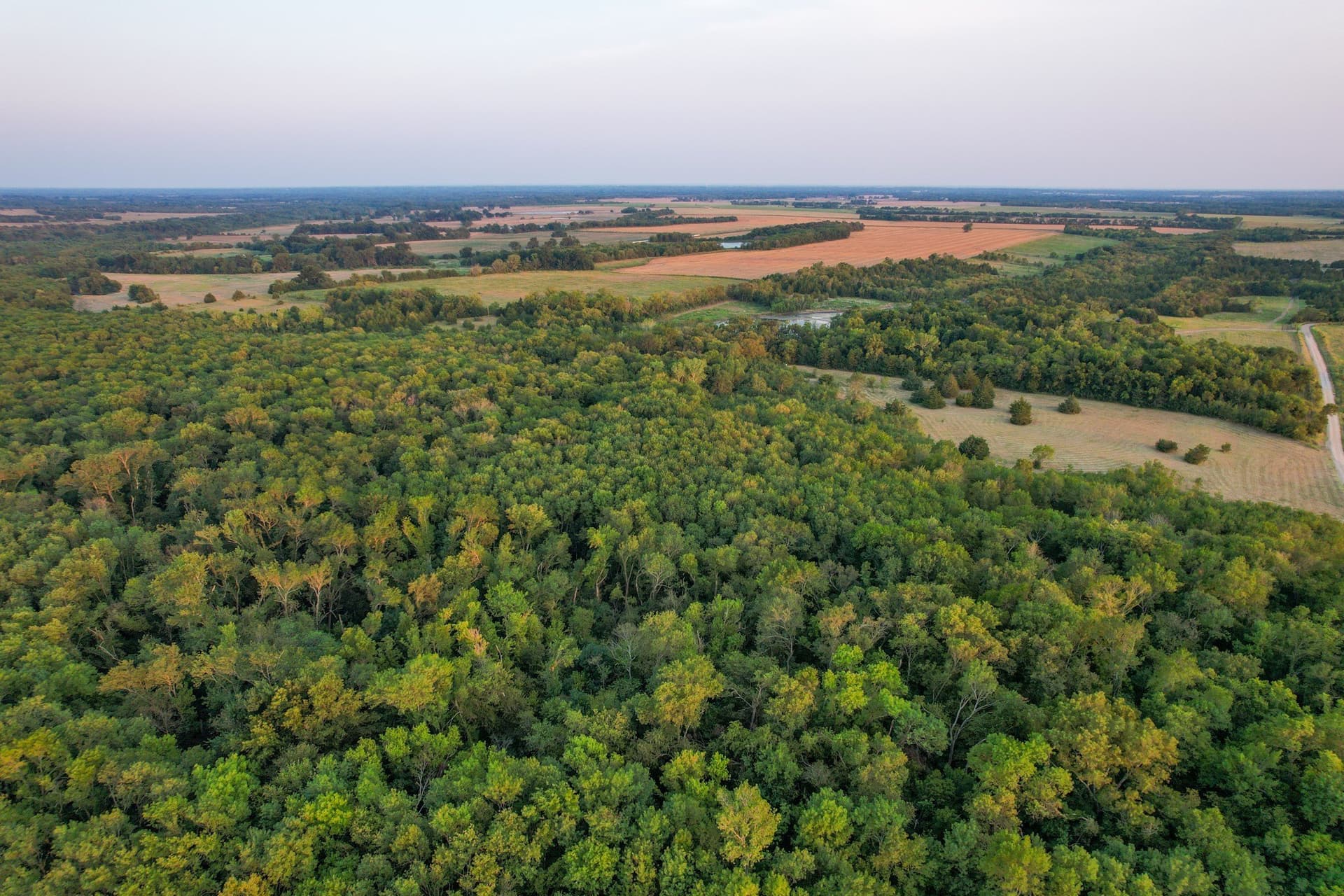 40.43 acres in Fannin County - photo 14