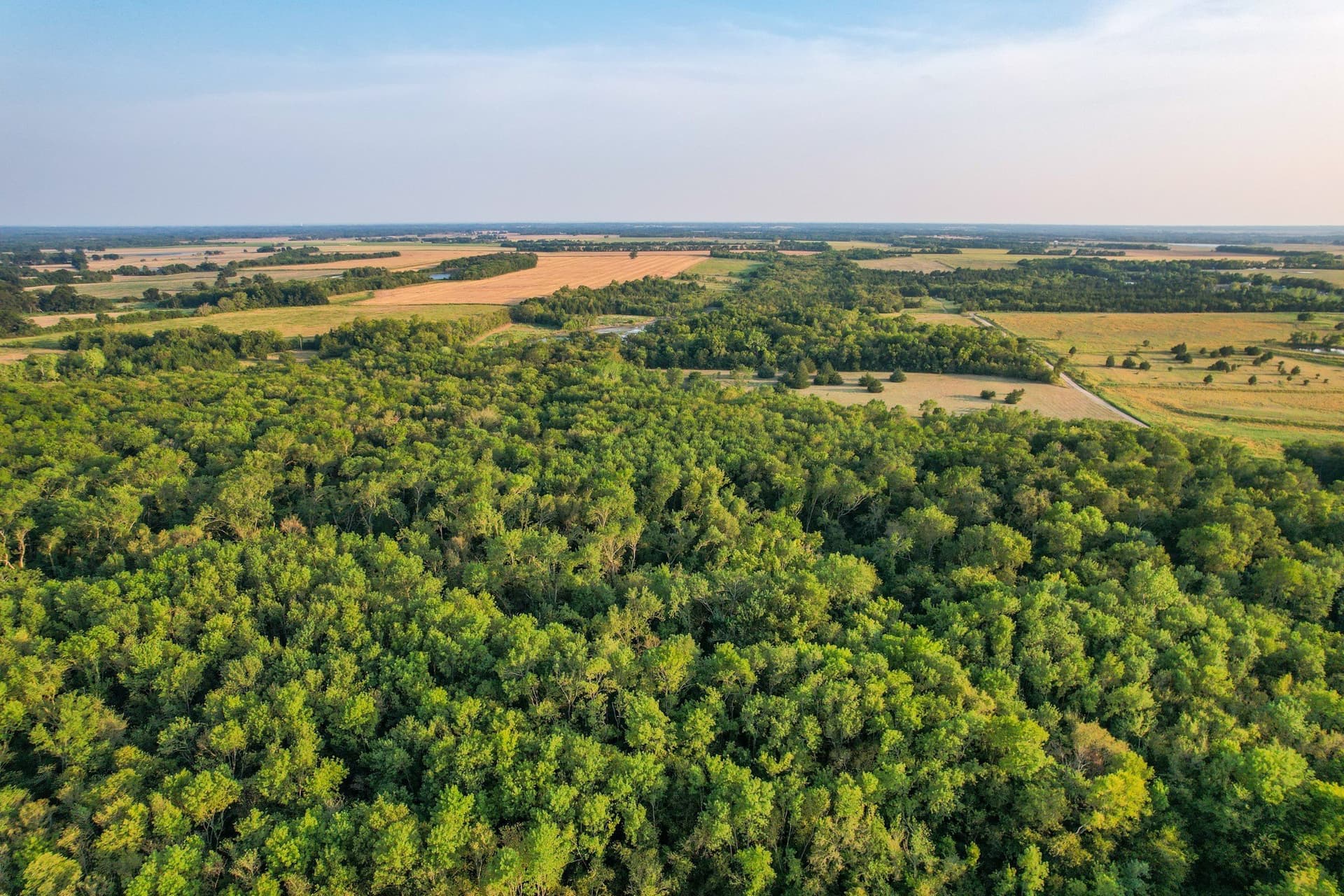 40.43 acres in Fannin County - photo 6