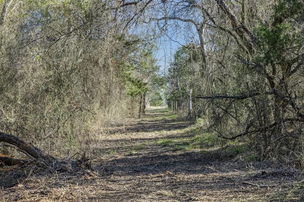 10 acres in Limestone County
