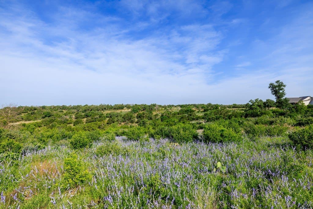 7.74 acres in Gillespie County - photo 3
