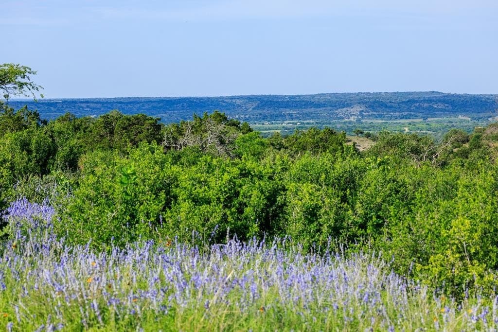 7.74 acres in Gillespie County - photo 2