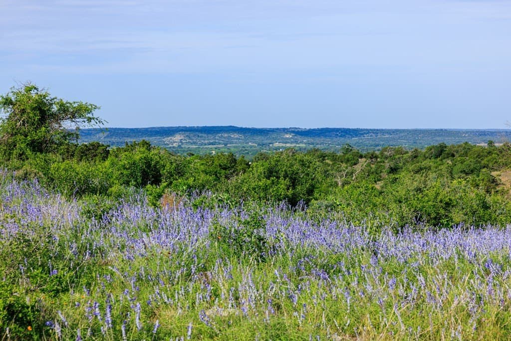 7.74 acres in Gillespie County - photo 12