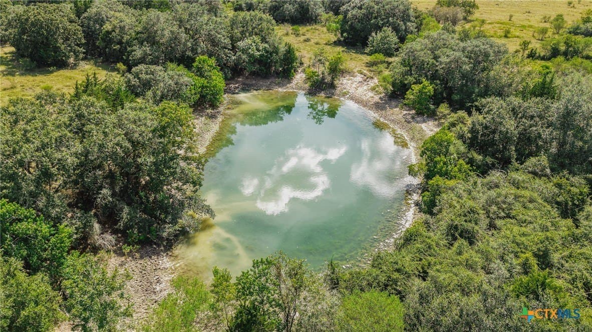 188.82 acres in Victoria County gallery image 4