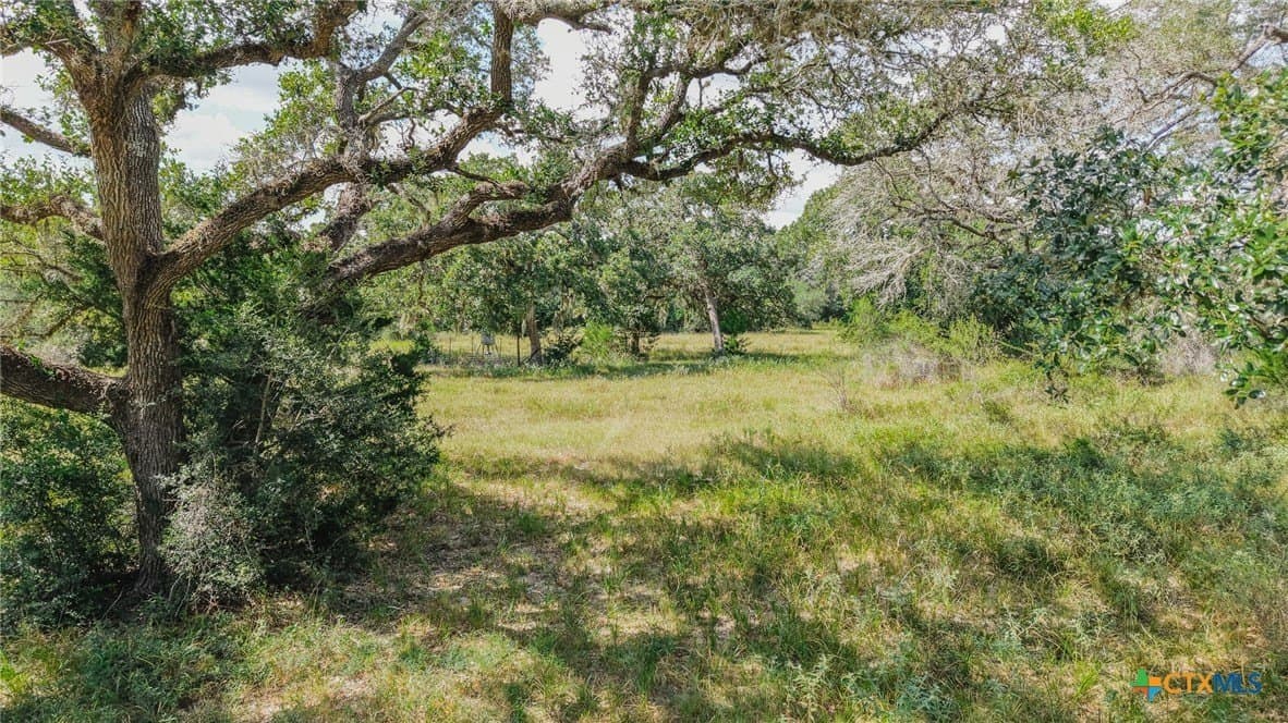 188.82 acres in Victoria County gallery image 2