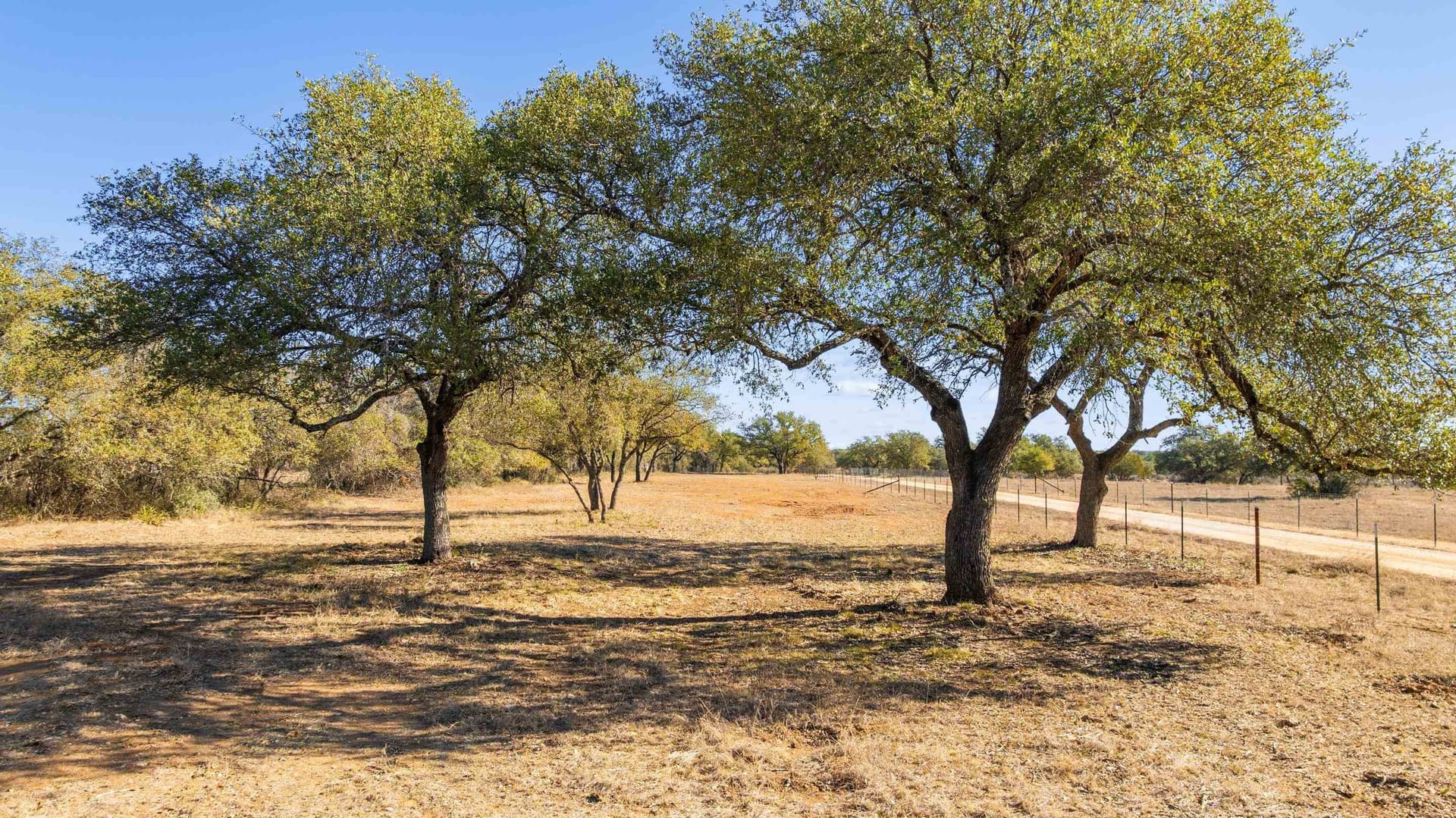 10.09 acres in Blanco County gallery image 2