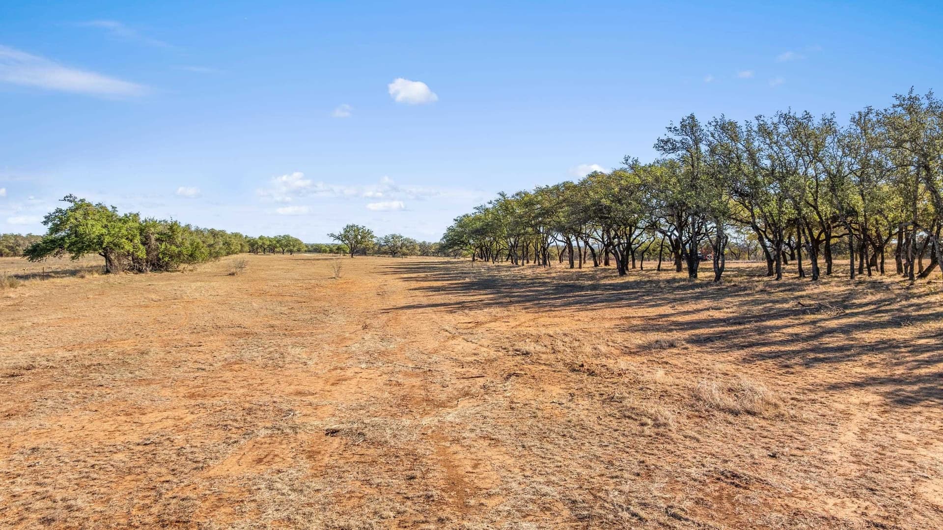 10.09 acres in Blanco County gallery image 4