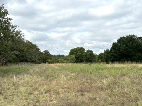 59.45 acres in Callahan County - photo 23
