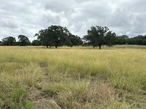 59.45 acres in Callahan County - photo 19