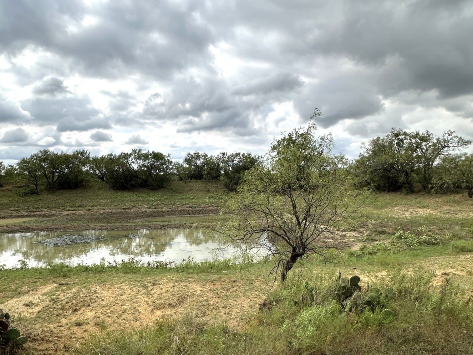 59.45 acres in Callahan County - photo 12