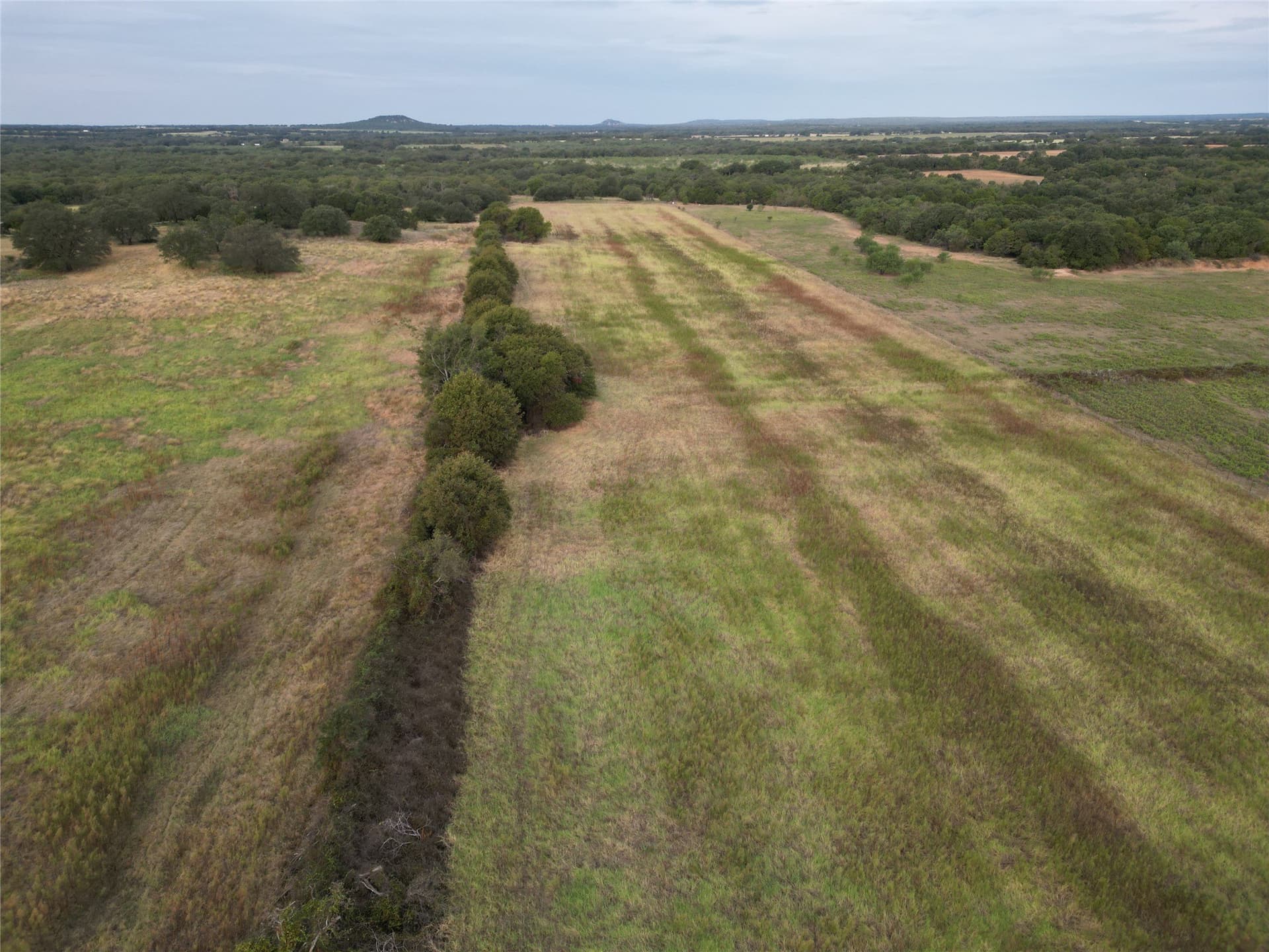 59.45 acres in Callahan County - photo 5