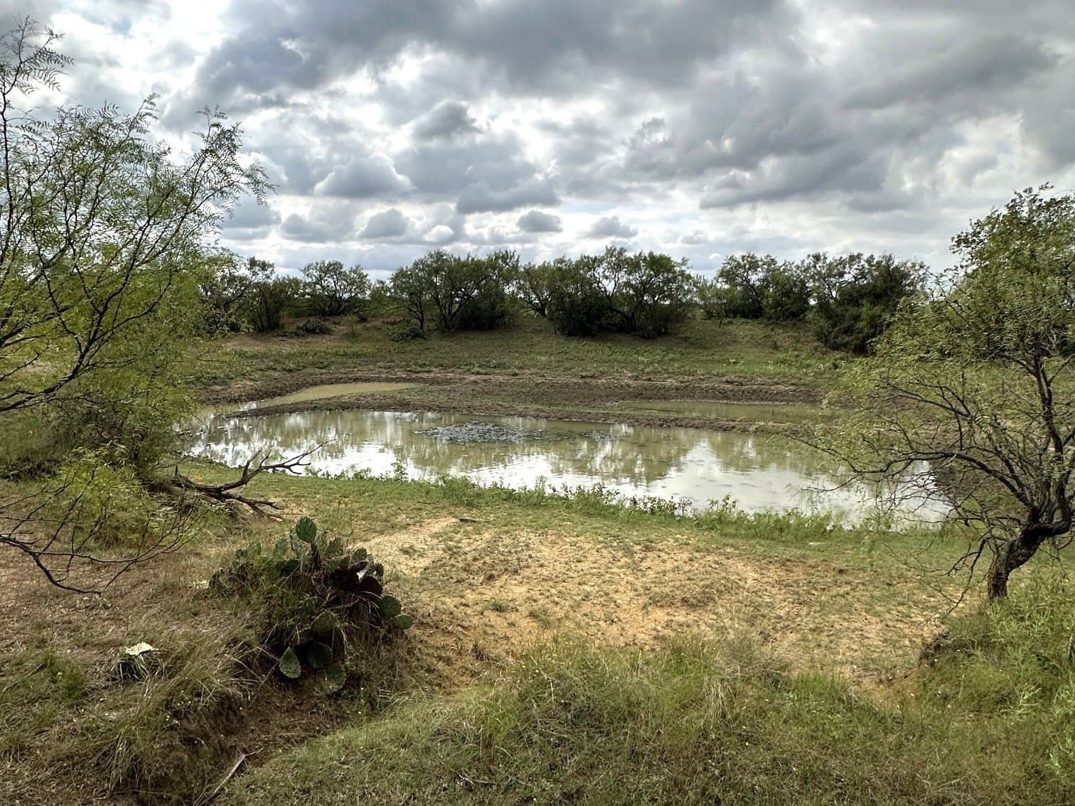 59.45 acres in Callahan County - photo 11