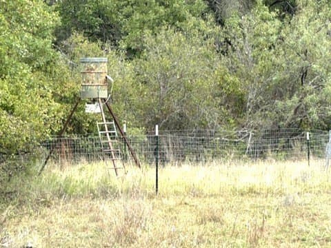 59.45 acres in Callahan County - photo 24