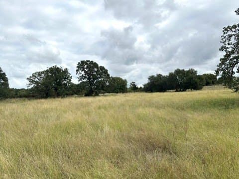 59.45 acres in Callahan County - photo 22