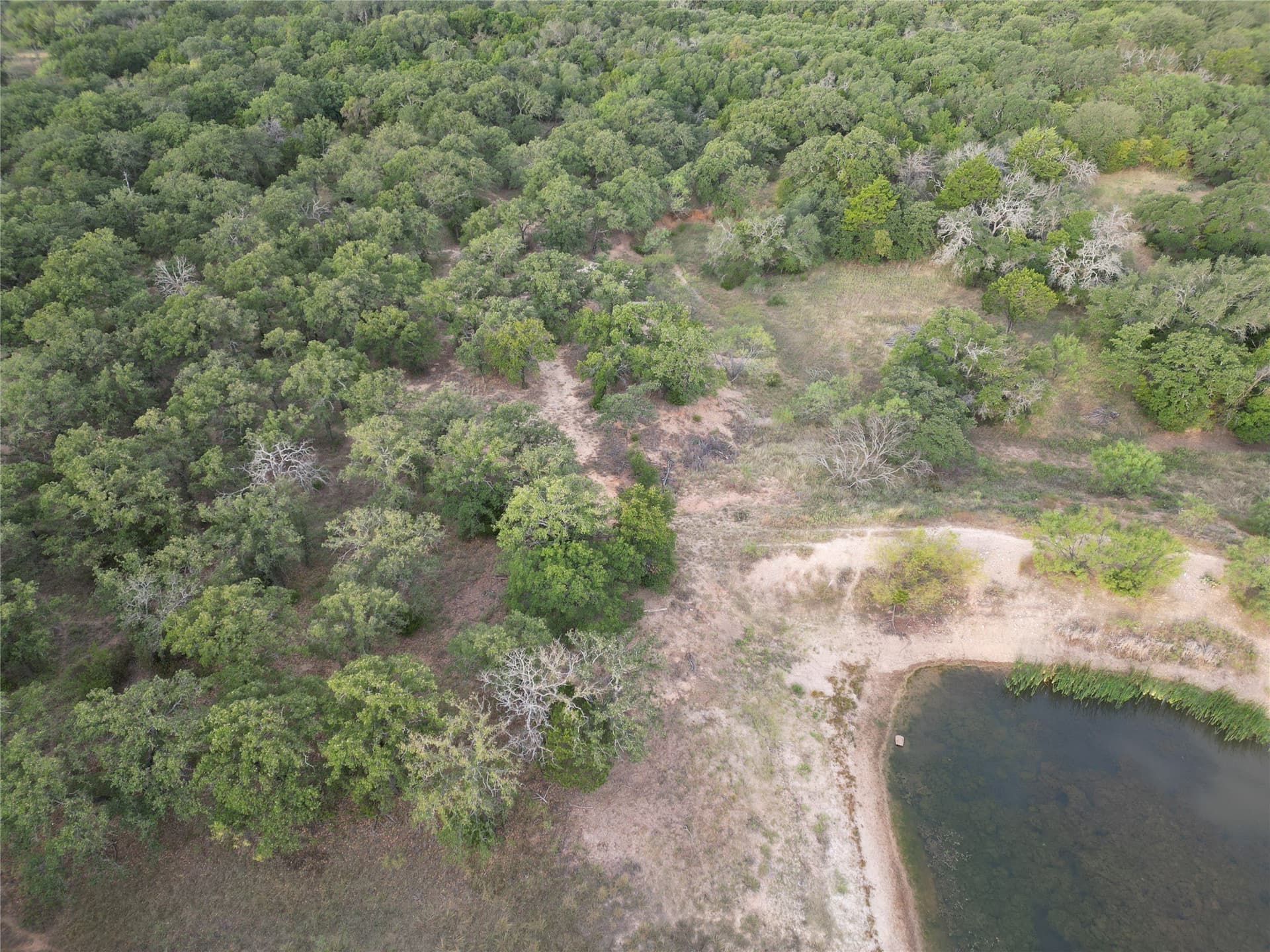 59.45 acres in Callahan County - photo 8