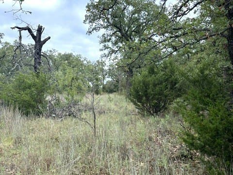 59.45 acres in Callahan County - photo 18
