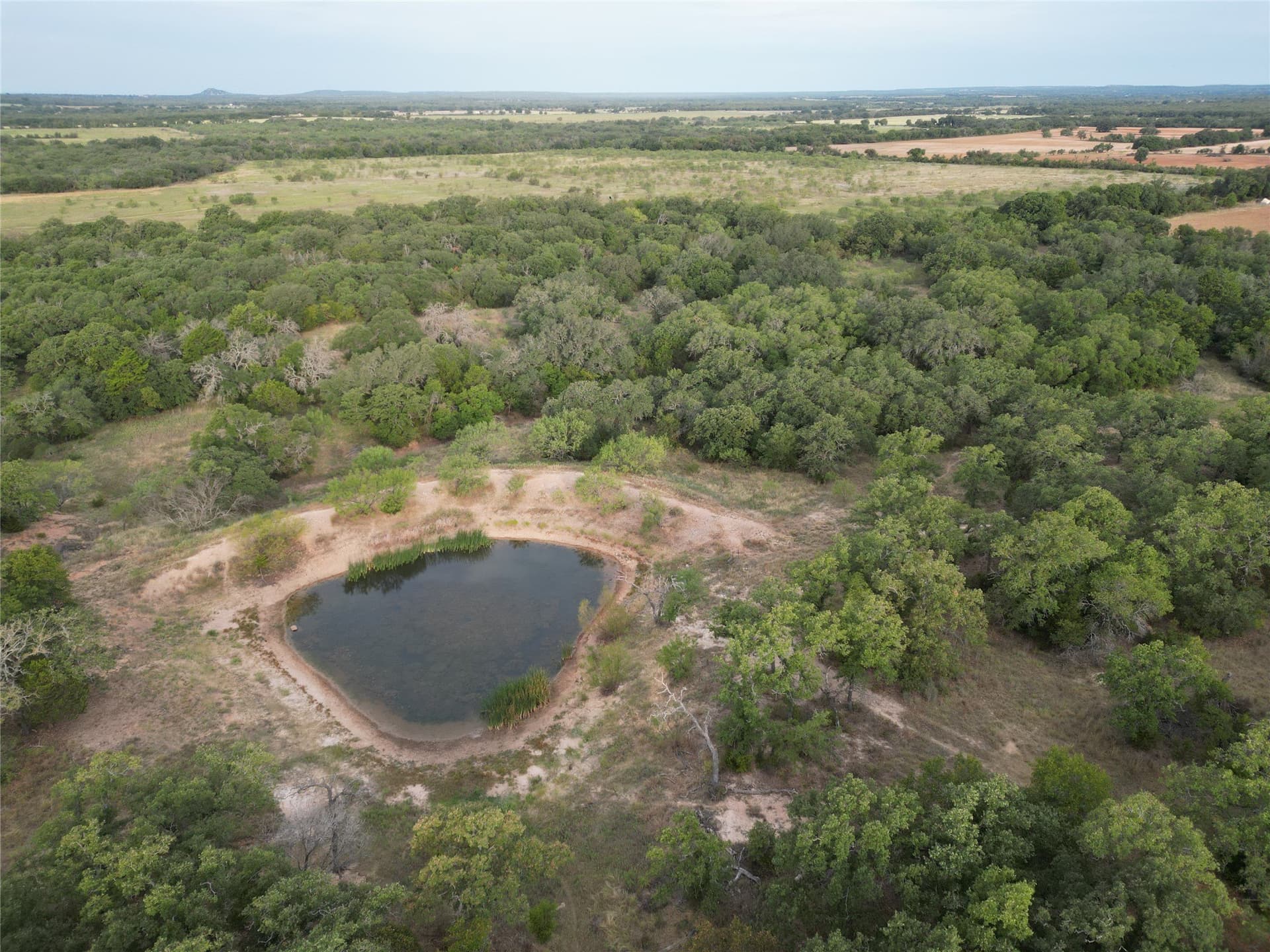 59.45 acres in Callahan County - photo 6