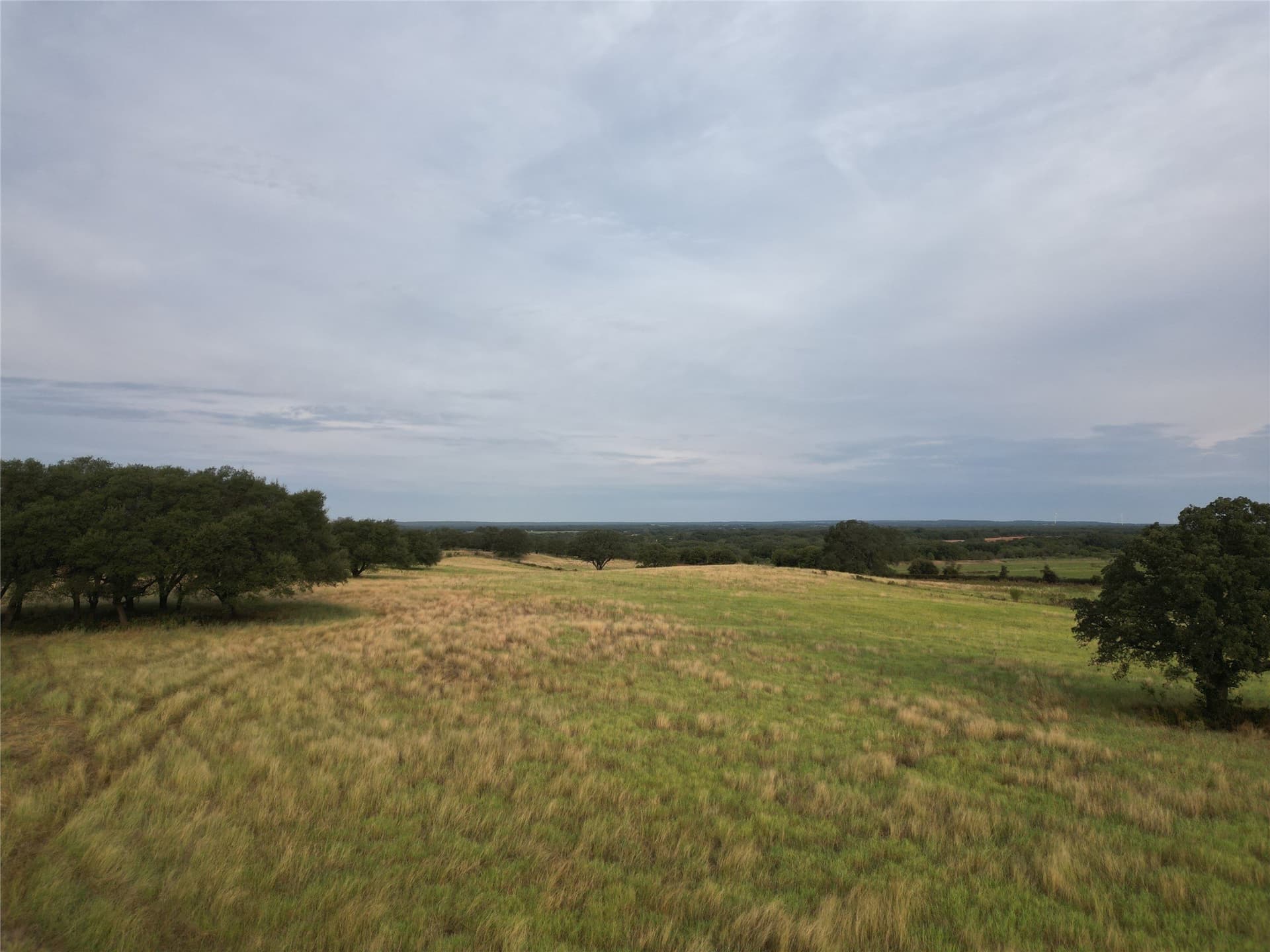 59.45 acres in Callahan County