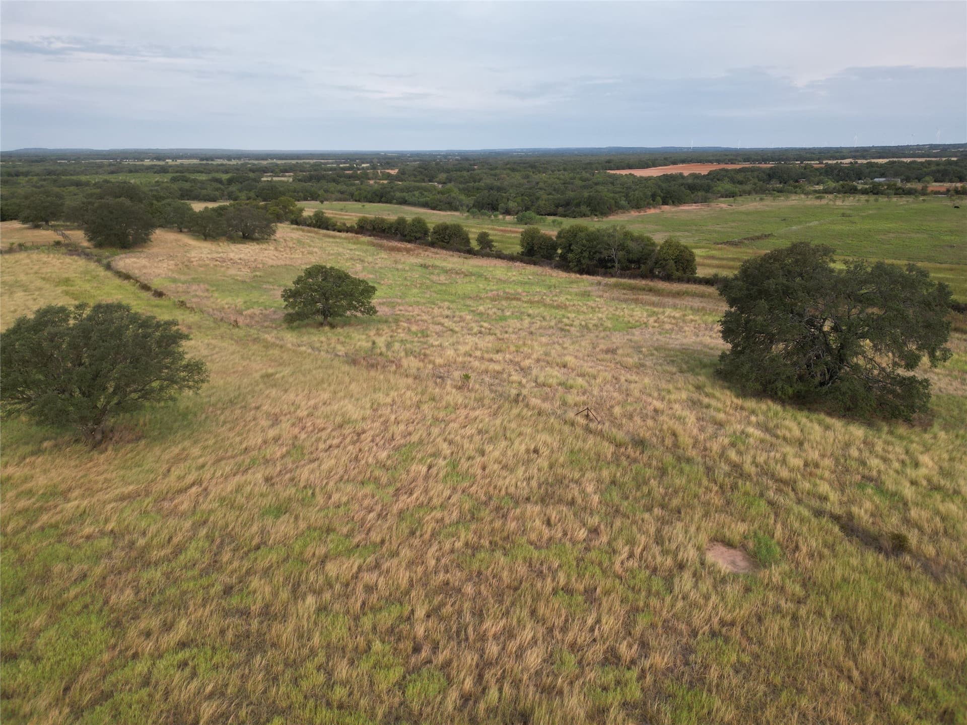 59.45 acres in Callahan County - photo 4