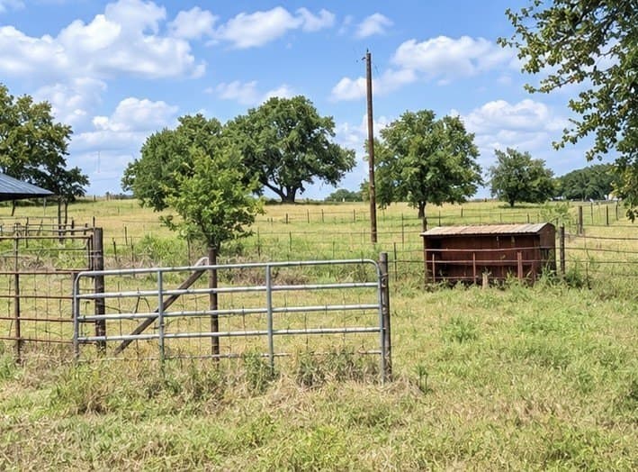 59.45 acres in Callahan County - photo 13