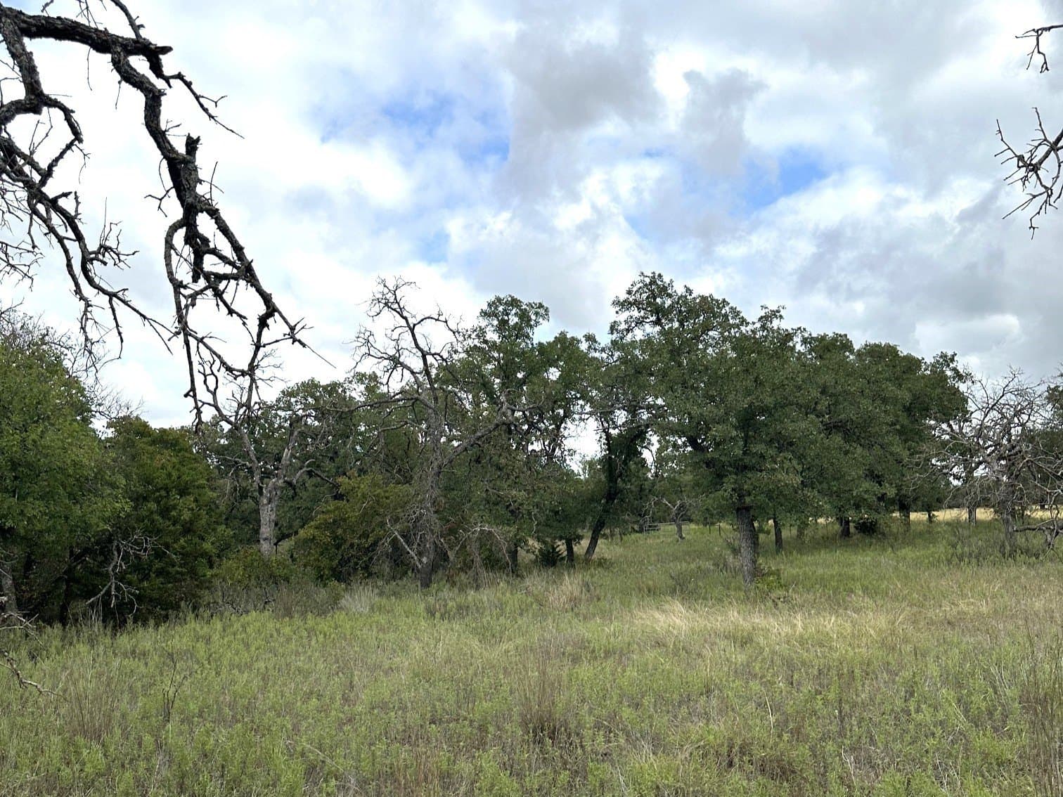 59.45 acres in Callahan County - photo 26