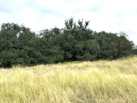 59.45 acres in Callahan County - photo 21