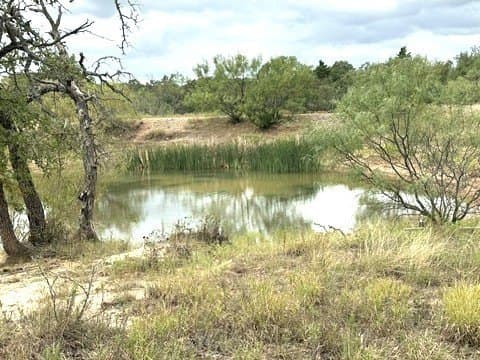 59.45 acres in Callahan County - photo 9
