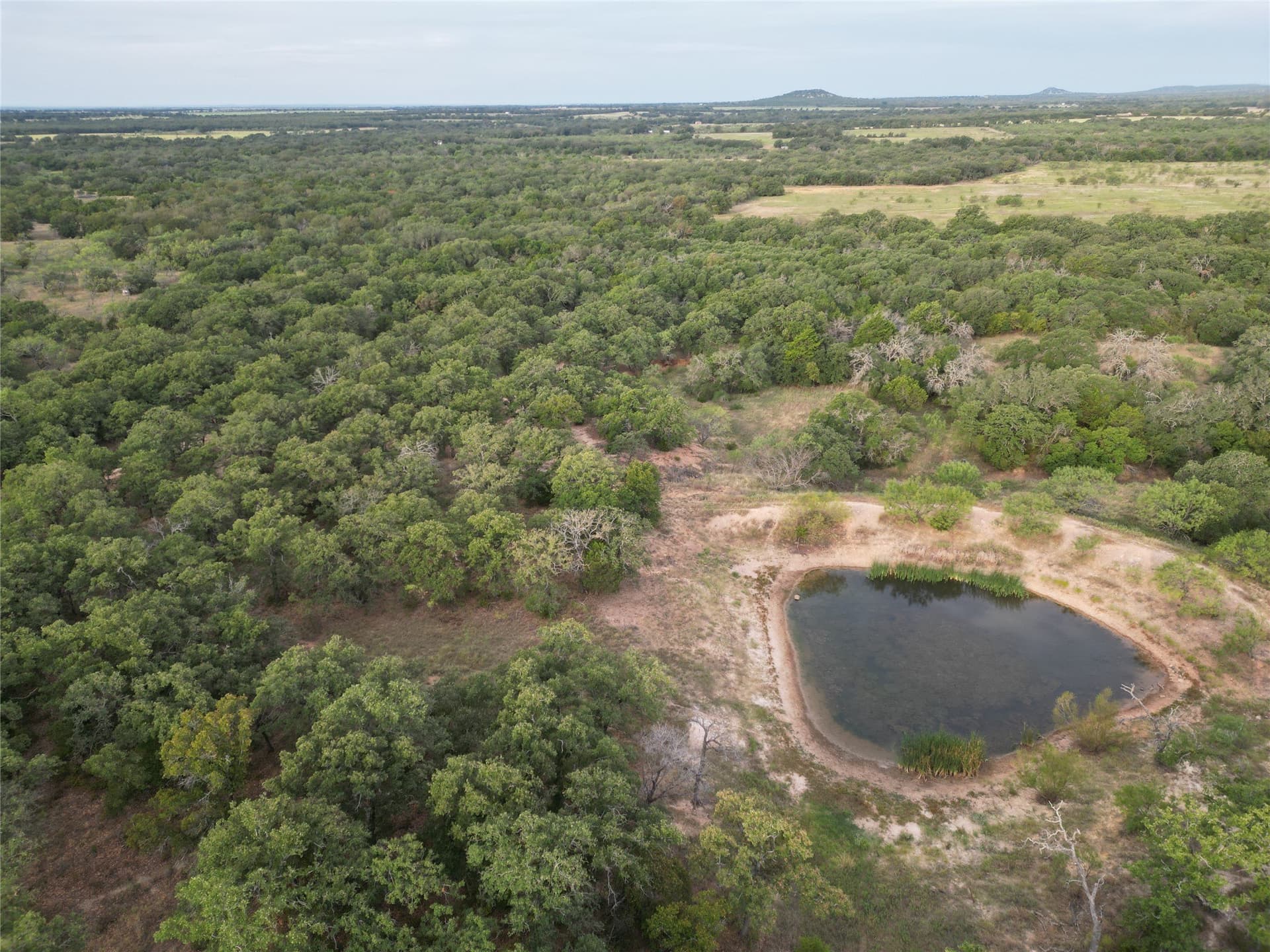 59.45 acres in Callahan County - photo 7