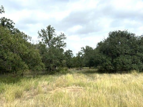 59.45 acres in Callahan County - photo 20