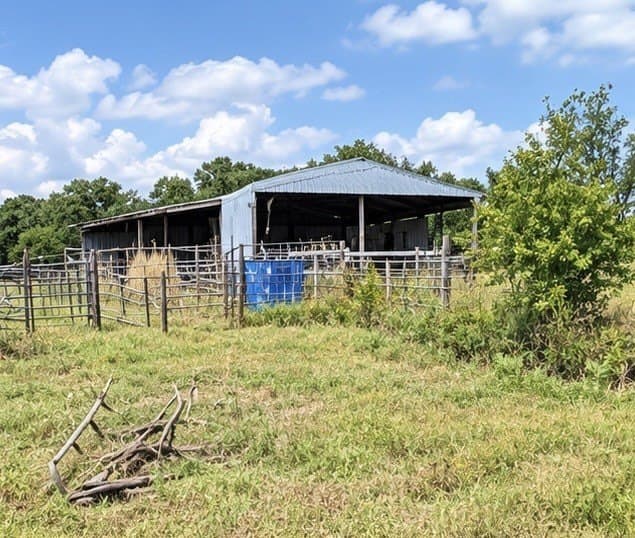 59.45 acres in Callahan County - photo 14