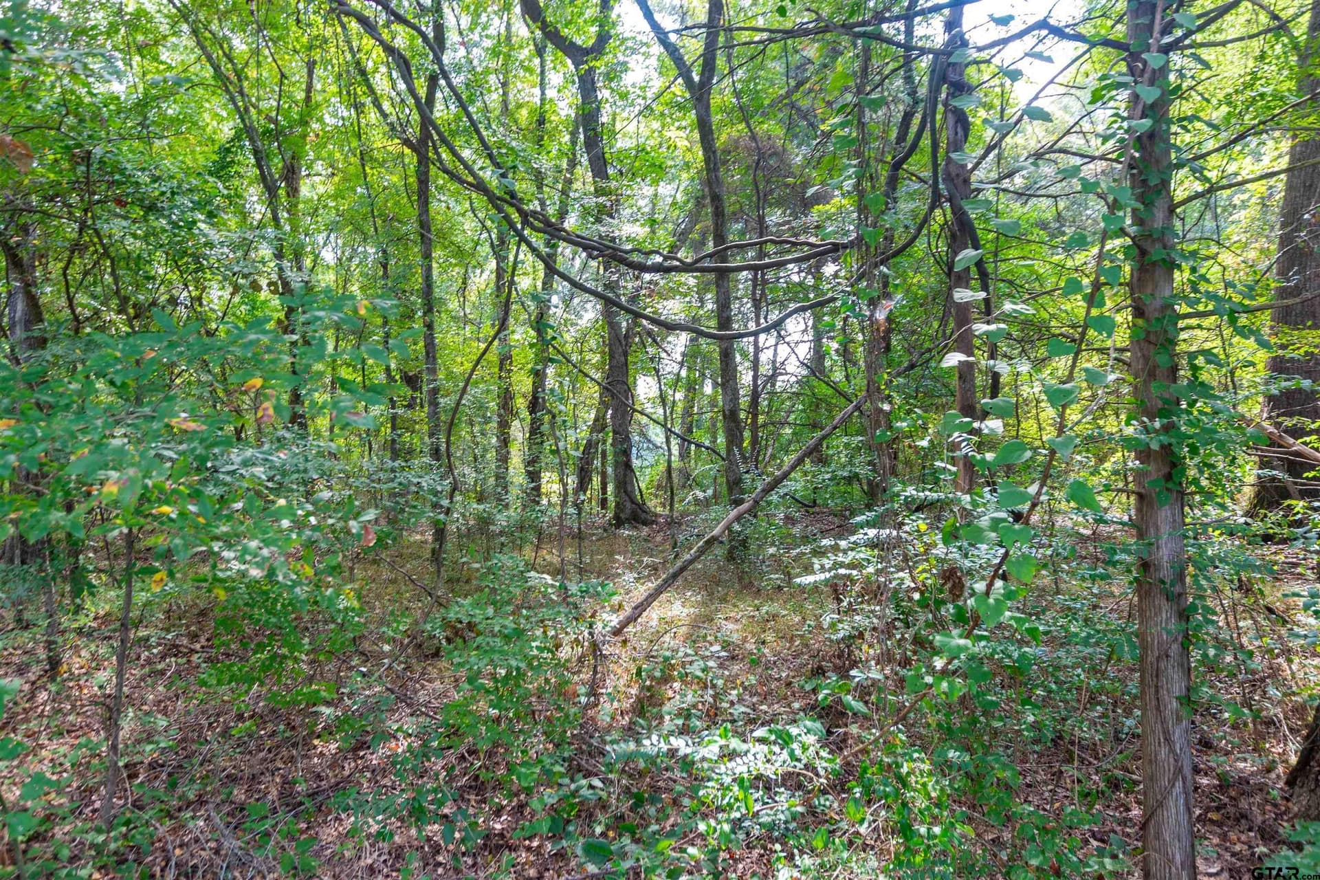 15.79 acres in Smith County featured view