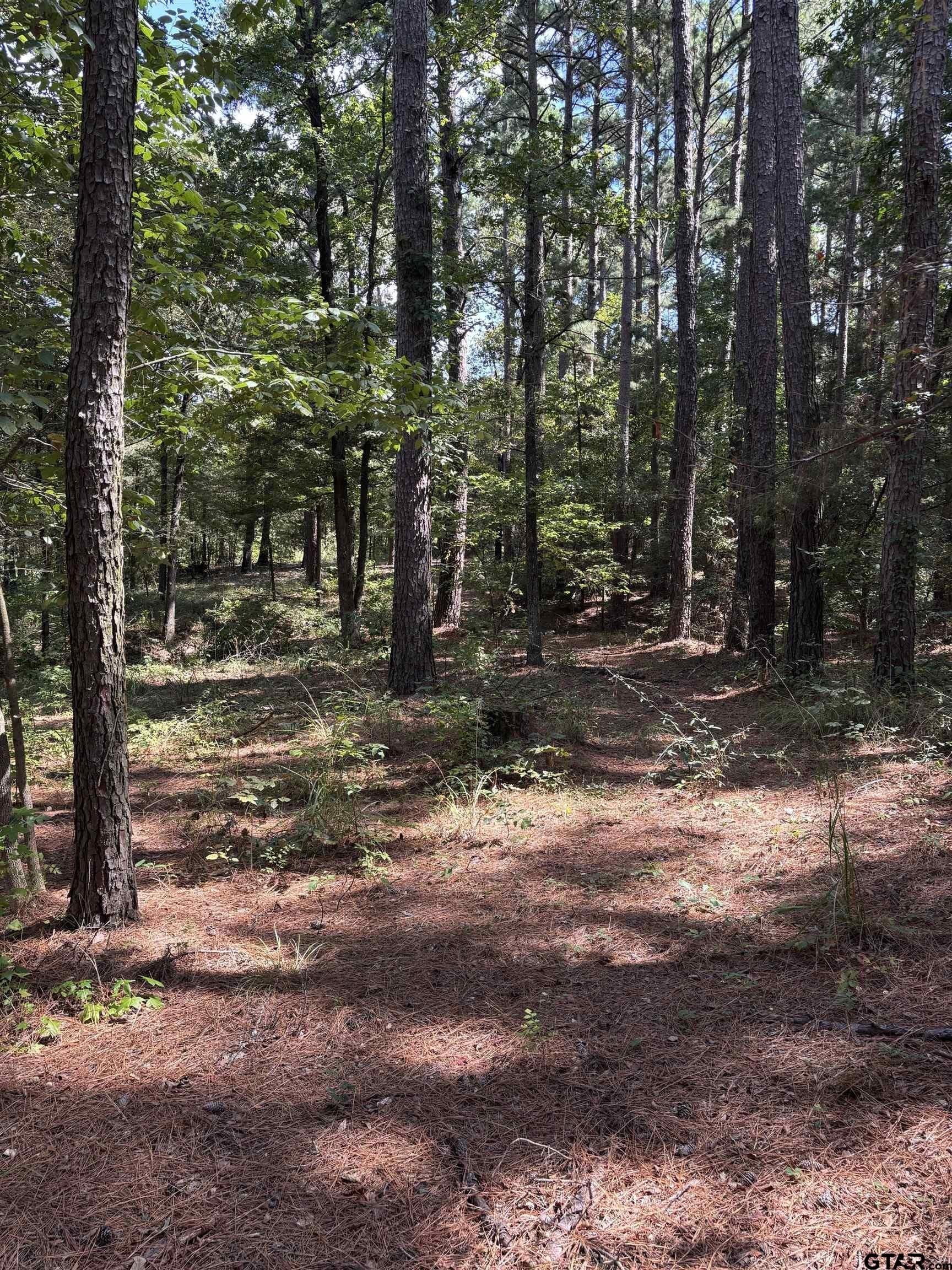 15.79 acres in Smith County gallery image 4