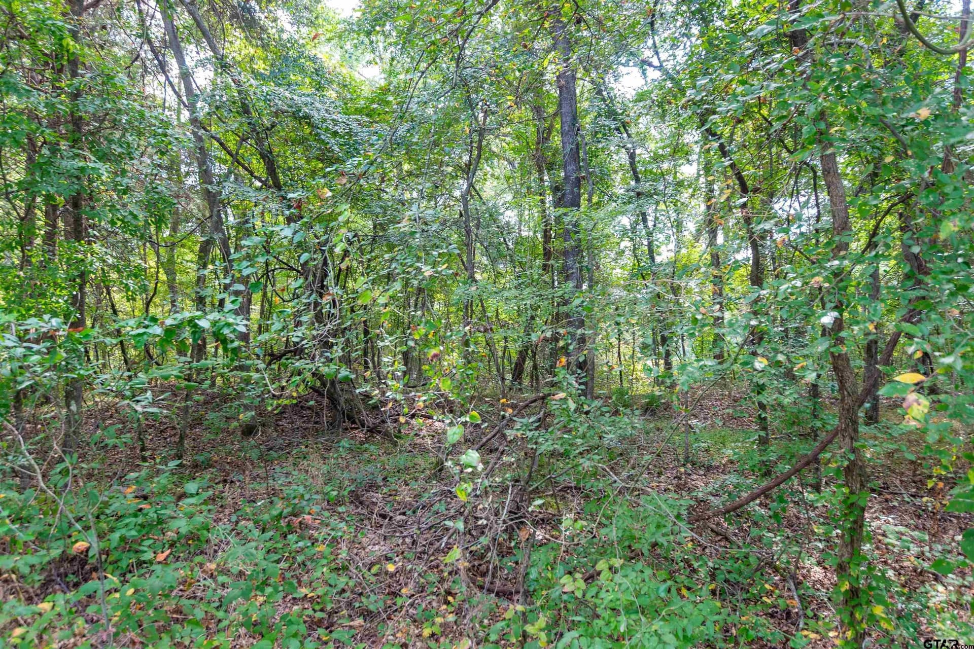 15.79 acres in Smith County