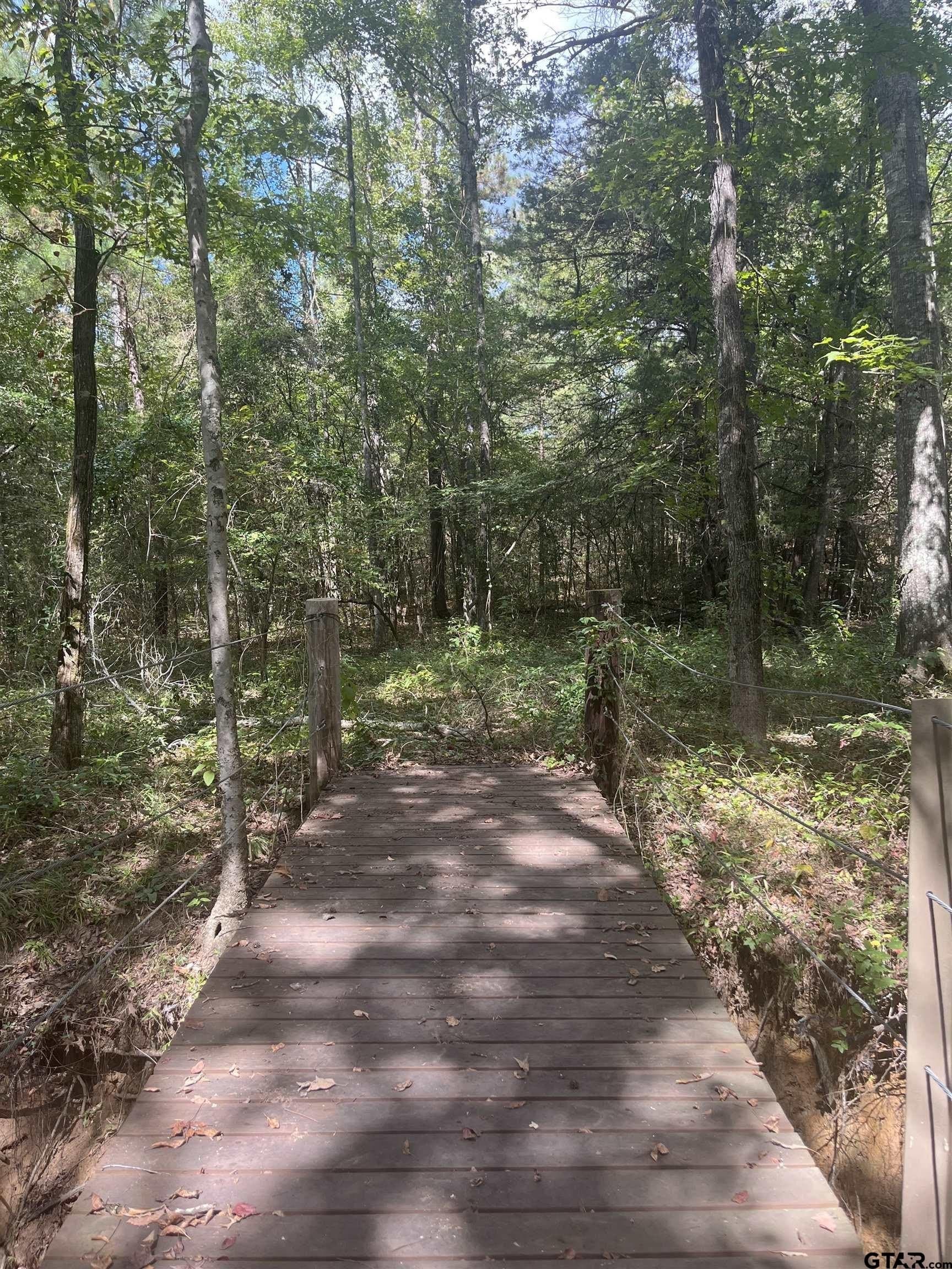 15.79 acres in Smith County gallery image 2