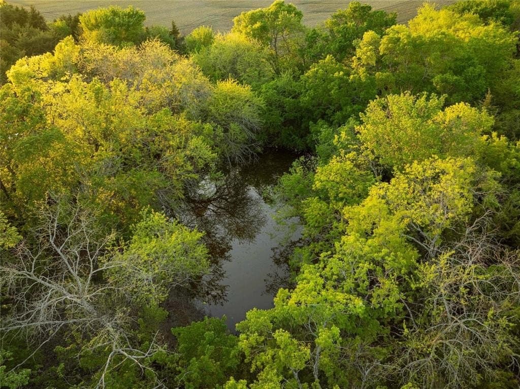 12.1 acres in Grayson County featured view