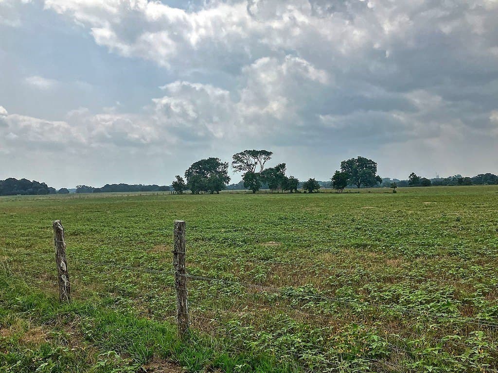 18.59 acres in Colorado County gallery image 2