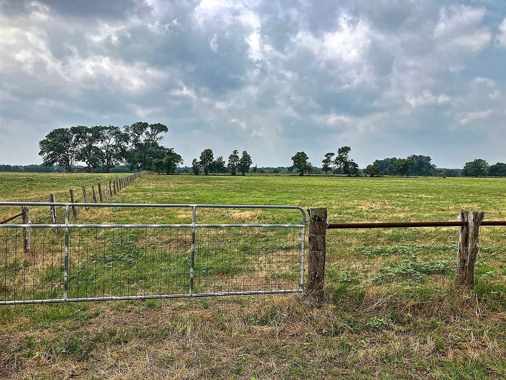 18.59 acres in Colorado County gallery image 3