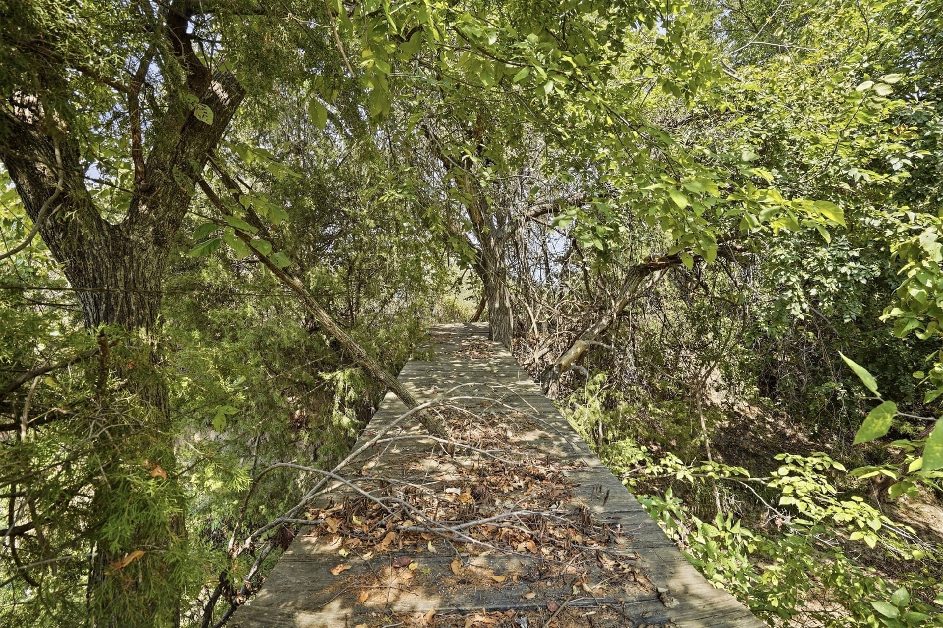 3.28 acres in Parker County - photo 7