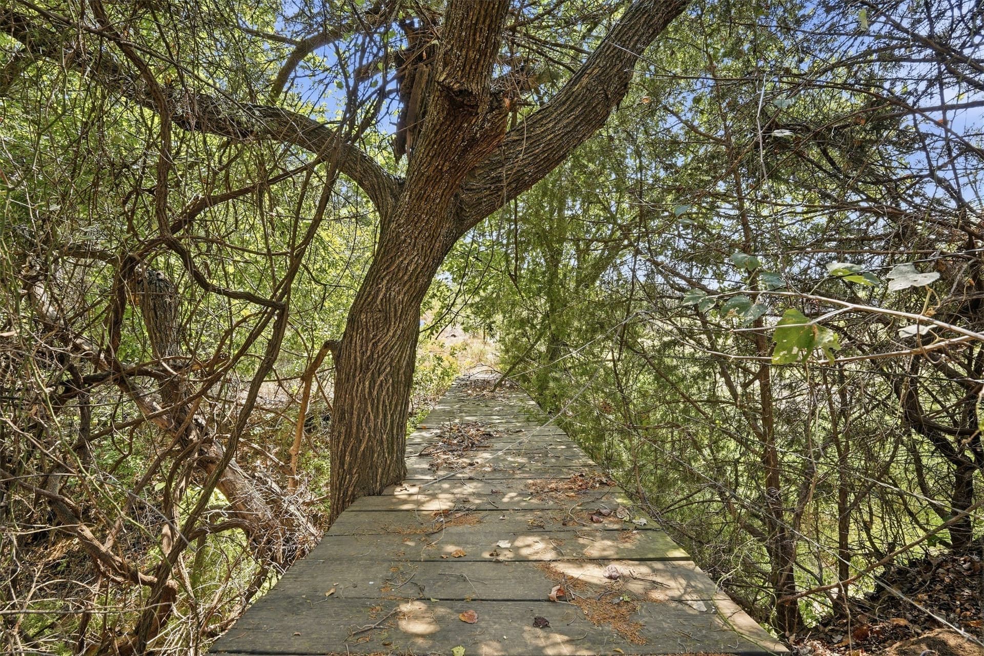 3.28 acres in Parker County - photo 6