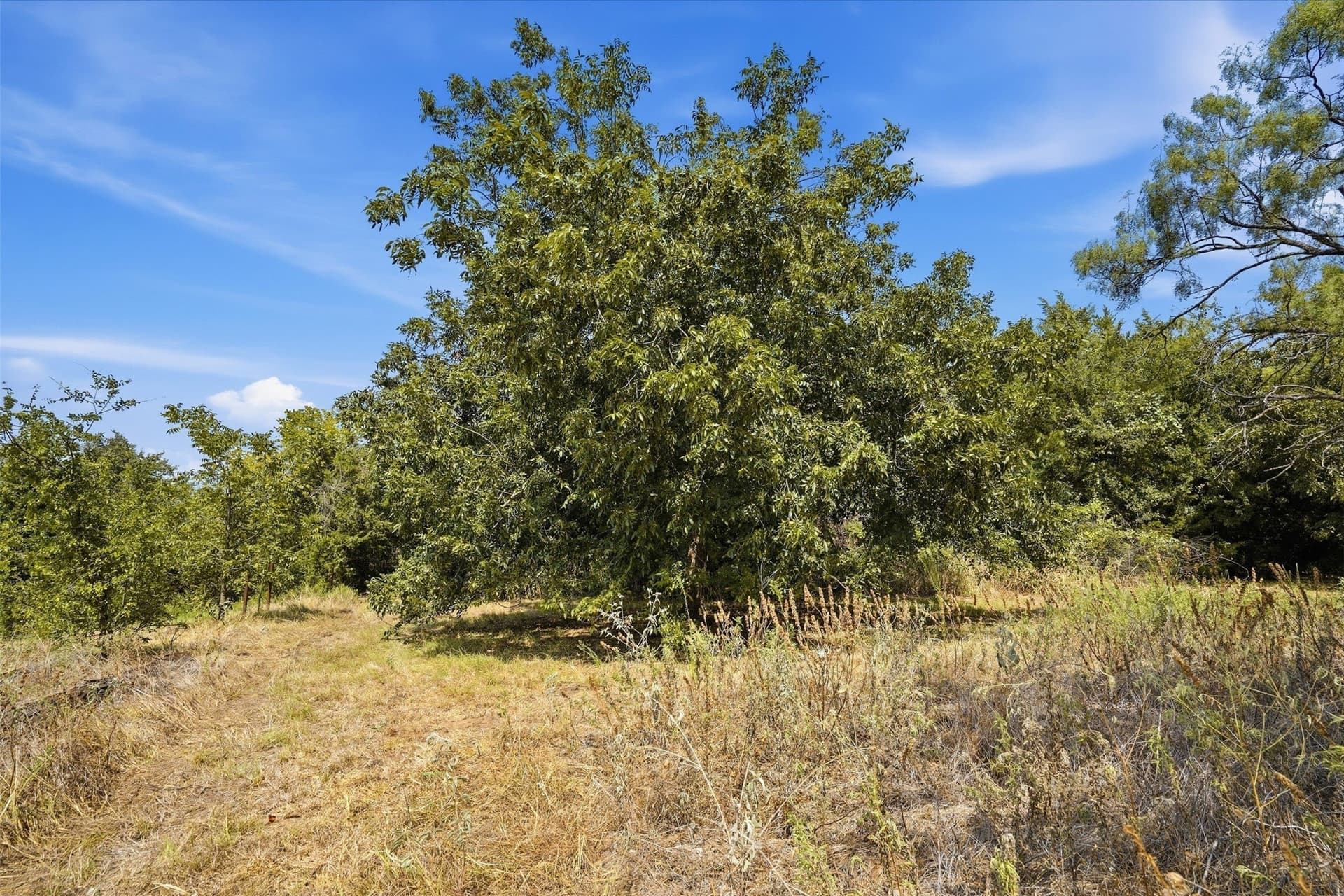 3.28 acres in Parker County - photo 5