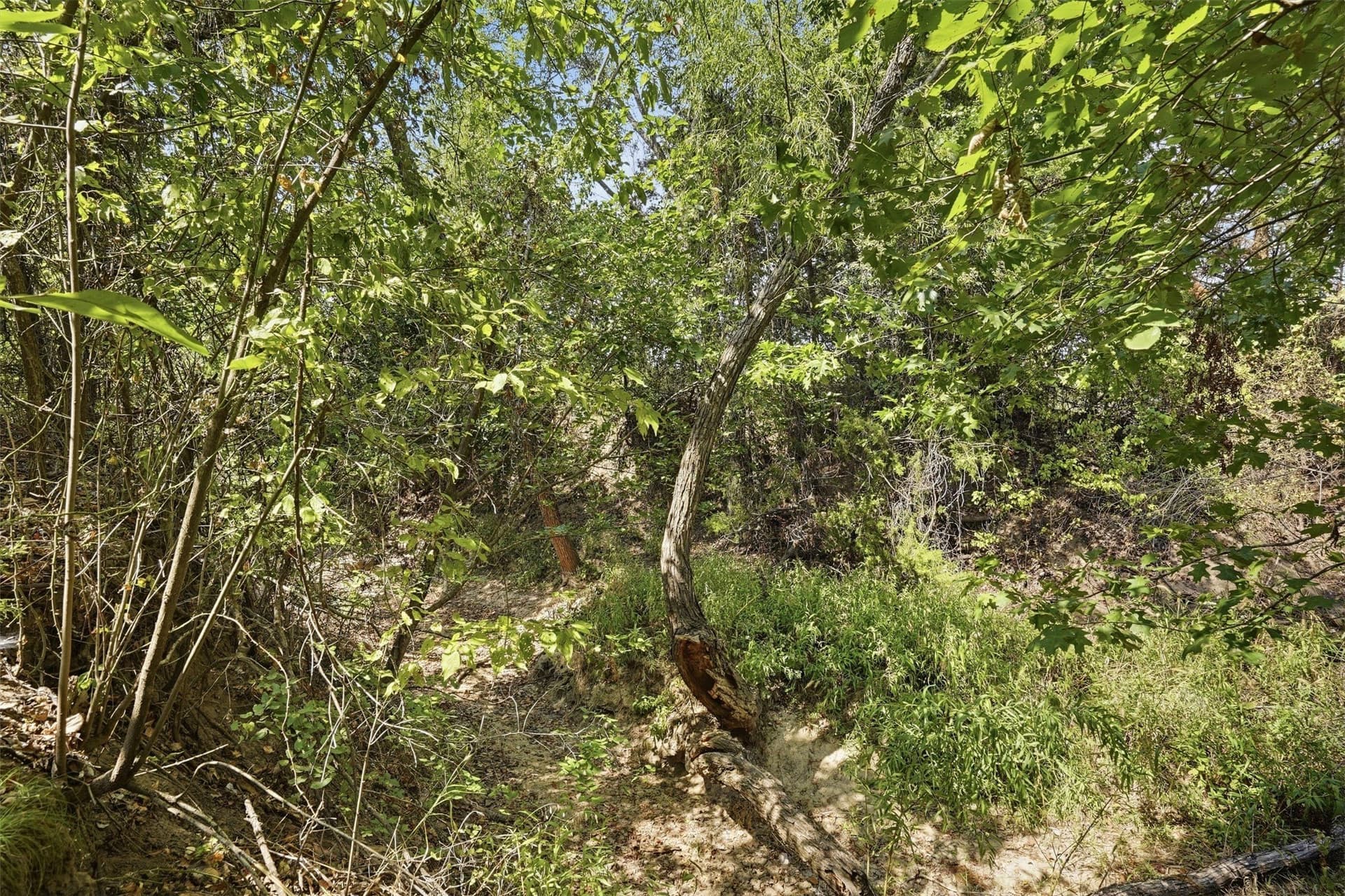 3.28 acres in Parker County - photo 9