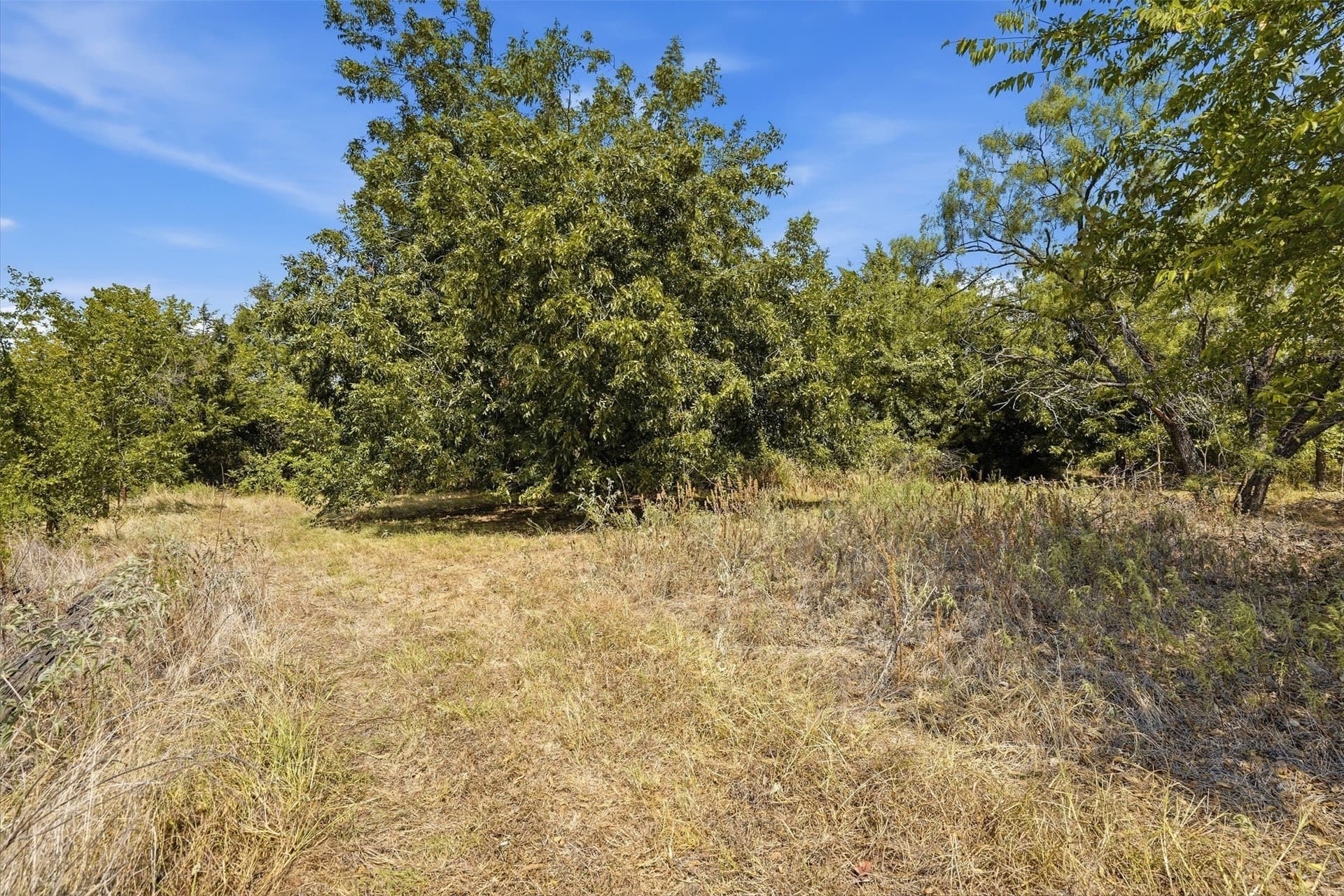 3.28 acres in Parker County - photo 4