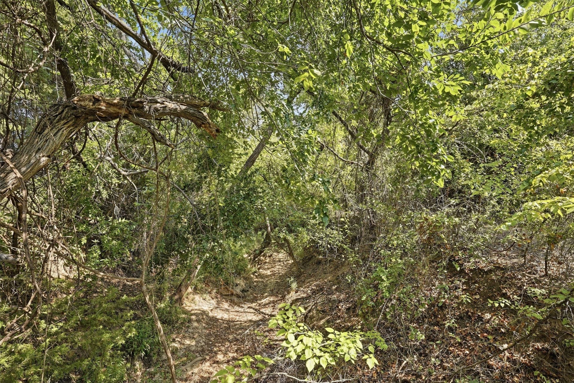 3.28 acres in Parker County - photo 8