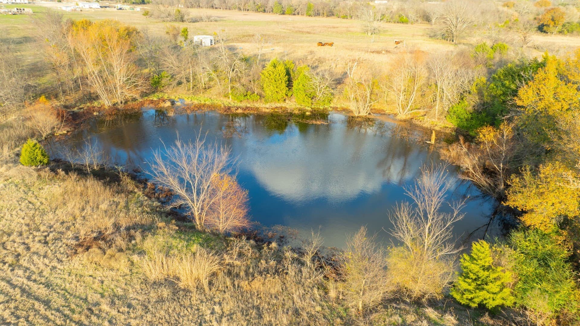 12.82 acres in Van Zandt County - photo 23
