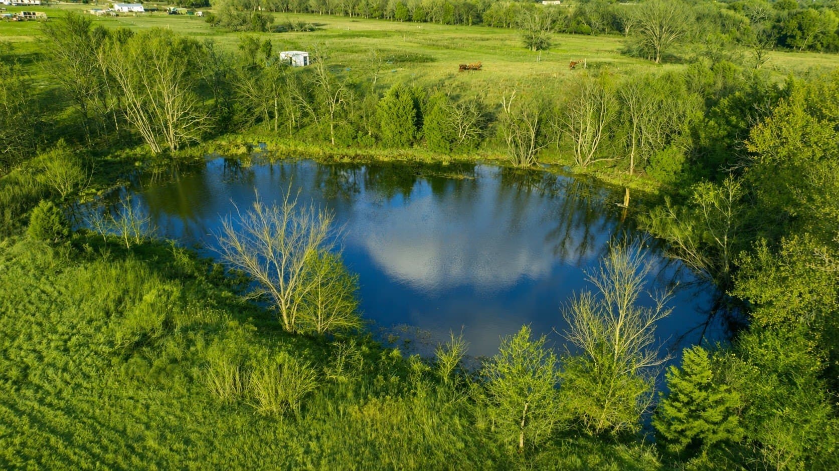 12.82 acres in Van Zandt County gallery image 2