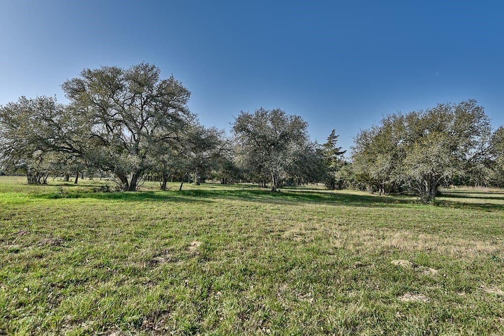 26.72 acres in Lavaca County gallery image 3