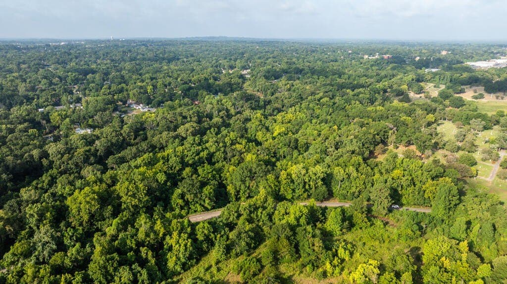 15.25 acres in ANDERSON County - photo 6