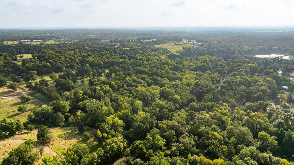 15.25 acres in ANDERSON County - photo 10