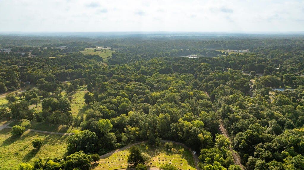 15.25 acres in ANDERSON County - photo 11