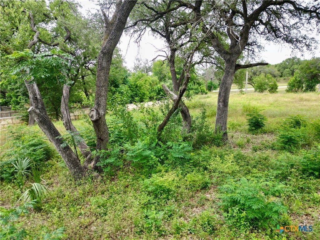 0.3 acres in Bell County featured view